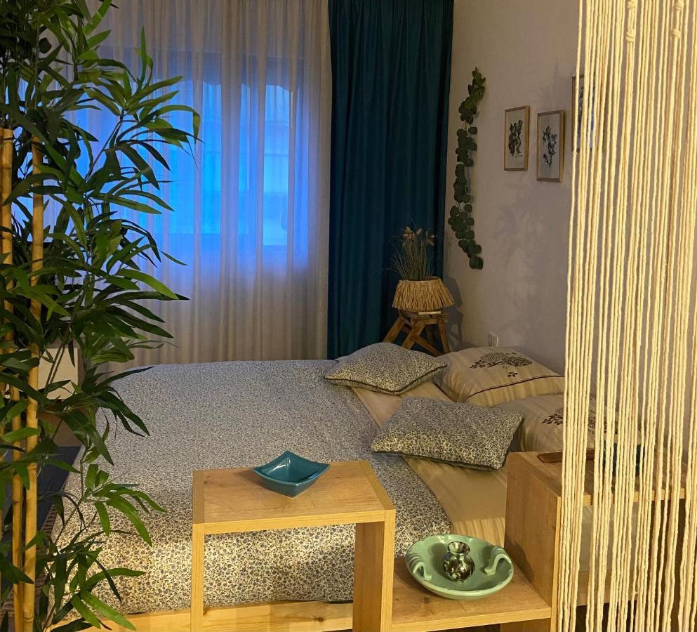 Studio Flat In The City Center Tirana Exteriér fotografie